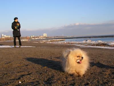 Feb25_04_251.jpg