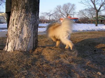 Feb25_04_276.jpg