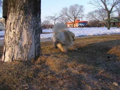 Feb25_04_277.jpg
