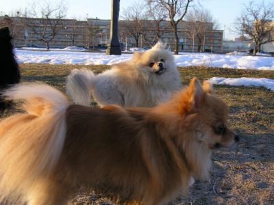Feb25_04_285.jpg