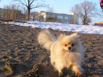 Feb25_04_293.jpg