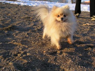 Feb25_04_294.jpg
