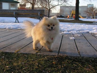 Feb25_04_299.jpg