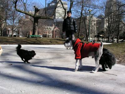 Mar13_04_003.jpg