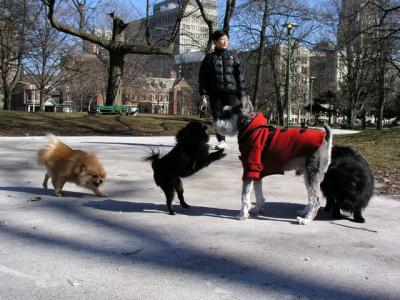 Mar13_04_004.jpg
