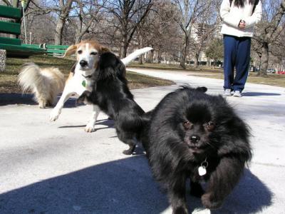 Mar13_04_007.jpg