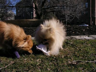 Mar13_04_068.jpg