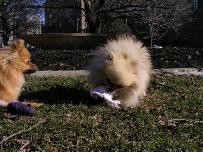 Mar13_04_069.jpg