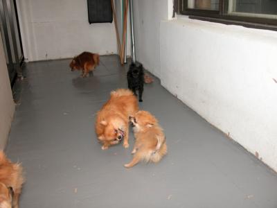 Oct19_02_236.jpg