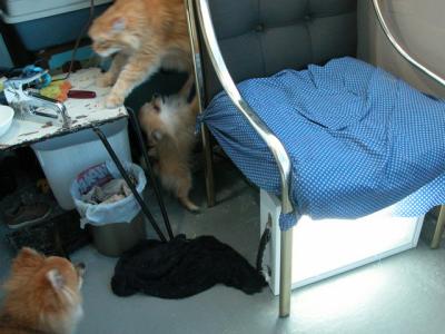 Oct19_02_262.jpg