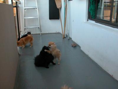 Oct19_02_271.jpg