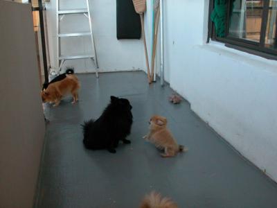 Oct19_02_272.jpg