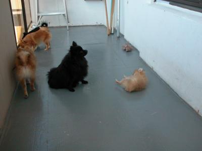 Oct19_02_273.jpg
