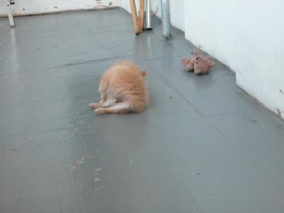 Oct19_02_279.jpg