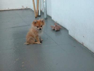 Oct19_02_288.jpg