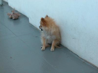 Oct19_02_294.jpg