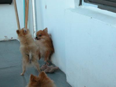 Oct19_02_312.jpg
