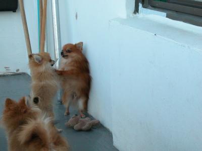 Oct19_02_313.jpg