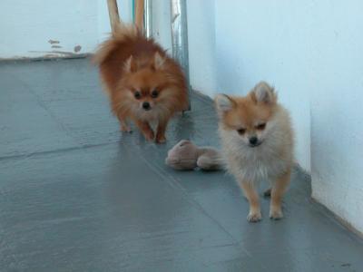 Oct19_02_326.jpg