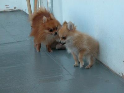 Oct19_02_328.jpg