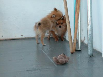 Oct19_02_337.jpg