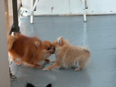 Oct19_02_339.jpg