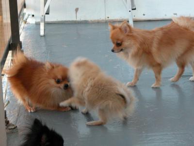 Oct19_02_340.jpg