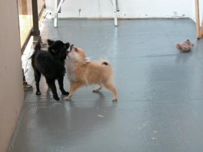 Oct19_02_368.jpg