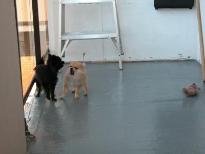 Oct19_02_374.jpg