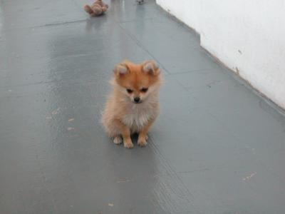 Oct19_02_405.jpg