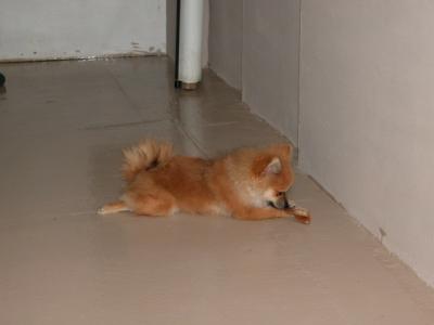 Oct28_02_273.jpg