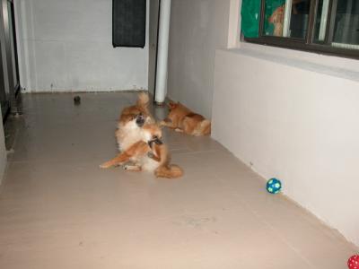 Oct28_02_284.jpg
