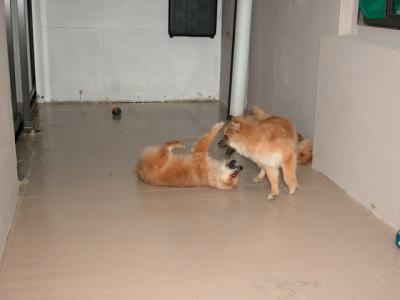 Oct28_02_286.jpg