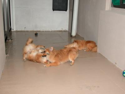 Oct28_02_293.jpg