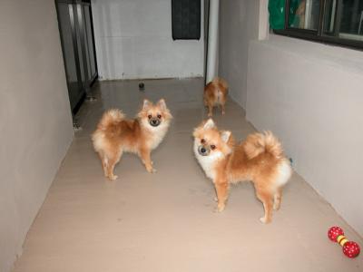Oct28_02_299.jpg