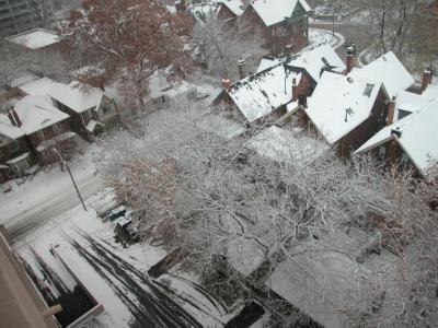 Nov17_02_378.jpg