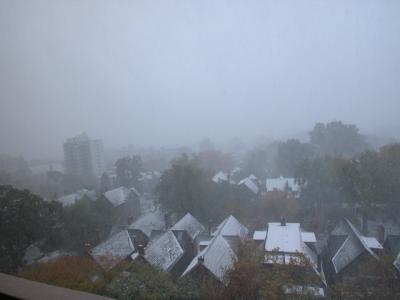 Nov3_02_246.jpg