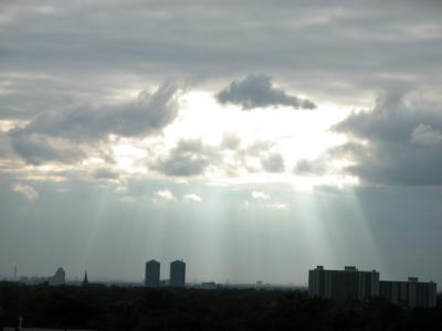 Nov4_02_217.jpg