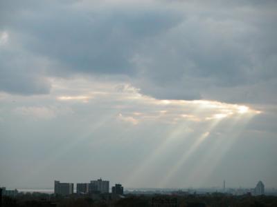 Nov4_02_236.jpg