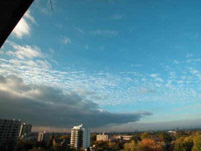 Nov5_02_046.jpg