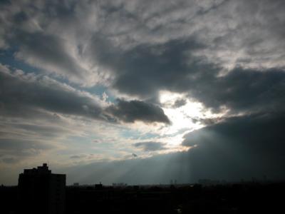 Nov6a 923.jpg