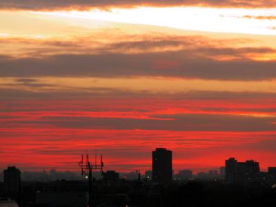 Nov8_02_051.jpg