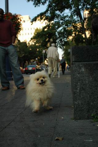 Aug15b_04_320.JPG