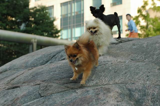 Aug15b_04_629.JPG