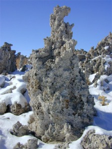 Mono Lake Tufa