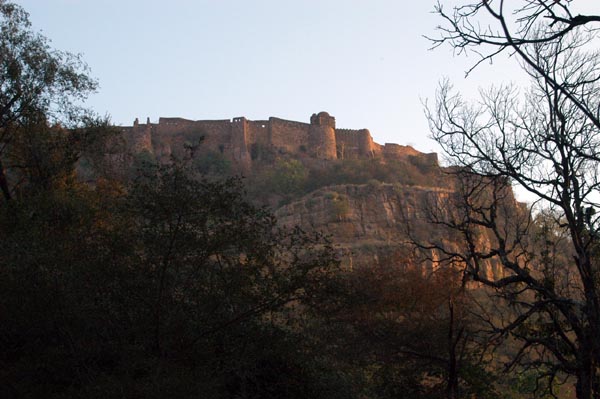 Ranthambhore Fort is on a hill in the center of the park