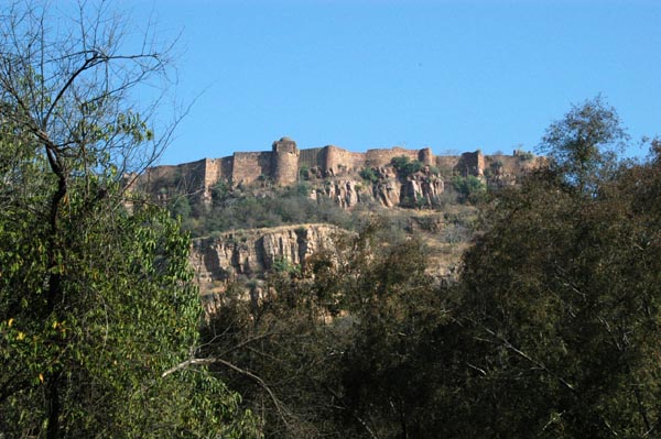 Ranthambhore Fort seen from the game drive