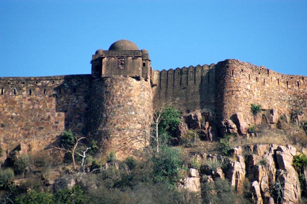 Ranthambhore Fort