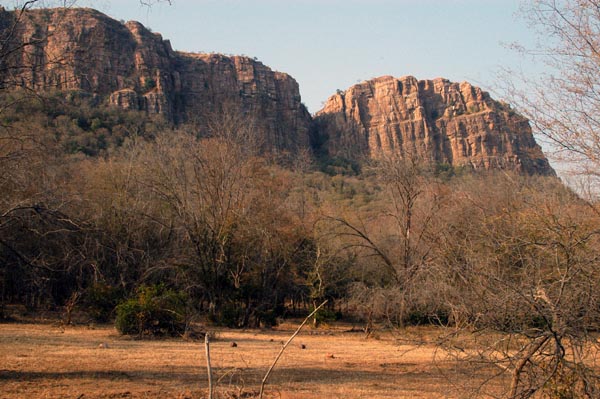 Ranthambhore National Park