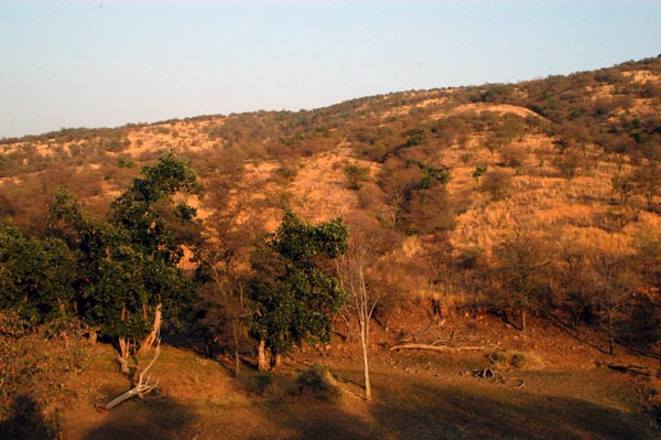 Ranthambhore scenery